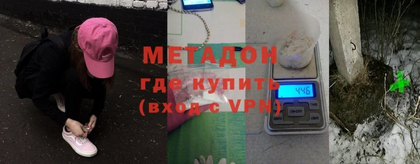 гашик Алексин