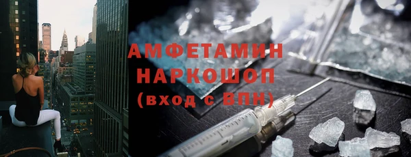 гашик Алексин