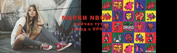 гашик Алексин