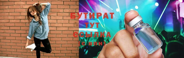 гашик Алексин