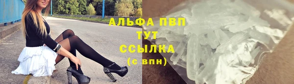 гашик Алексин