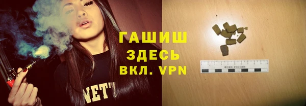 гашик Алексин