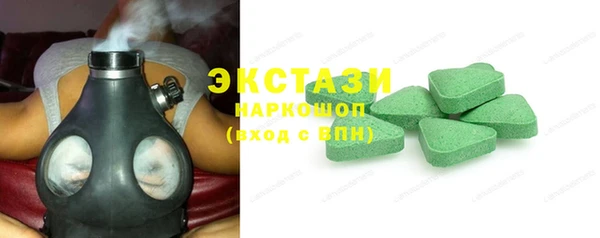 гашик Алексин