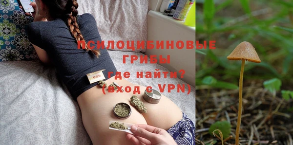 дживик Алзамай