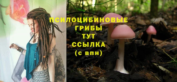 дживик Алзамай