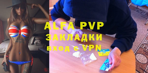 гашик Алексин