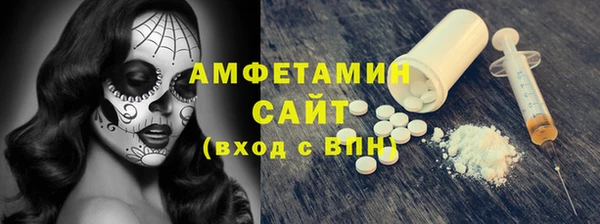 гашик Алексин