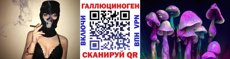 Купить закладки  Ступино  Псилоцибиновые грибы Magic Shrooms 